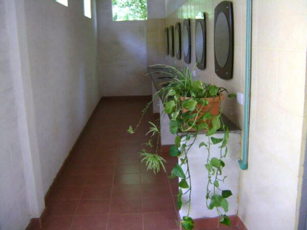 LAS CONANAS CAMPING - Imagen 3